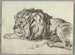 Studie lva od Unknown artist