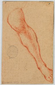 Studie levé nohy sedící ženy od Unknown artist