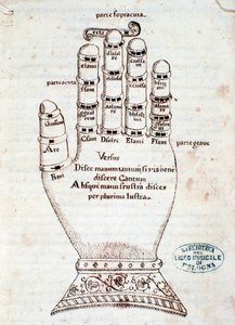 Guidonská ruka. Stránka převzata z rukopisu Stručné shrnutí gregoriánské písně od Gaspara Antonia Garegnaniho (konec 18.-začátek 19. století) od Unknown artist