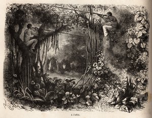 Indiáni Yahua z Peru hledají zvěř, hřady ve větvích a zbraně sarbacanů s otrávenými flechettemi. Rytina pro ilustraci cesty z Tichého oceánu do L