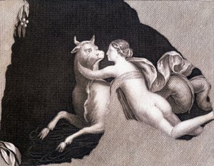 Únos Evropy - rytina od Unknown artist