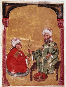 Lékař a botanik Pedanius Dioscoride (Pedanius Dioscorides) (40-90 n. l.) sedí s jedním ze svých studentů Miniatura z jeho pojednání „De materia medica““ (ms Ahmed III, 2147, folio 217a) 1229 Topkapi Sarayi Museum Library, Istanbul od Unknown artist