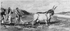 Založení Říma. 19. století rytina. od Unknown artist