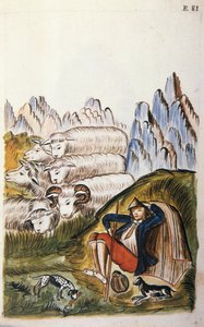 Pastýř a jeho stádo ovcí, z knihy "Trujillo del Peru" nebo "Códice Martínez Compañón", od Baltazara Martineze Compañón y Bujanda, biskupa z Trujillo (1782-1785) od Unknown artist