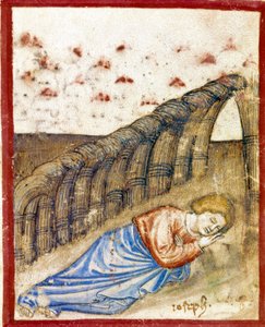 Vize Josefa, syna Jacoba Miniature převzato z Codexu 212 (nebo Paduánského kodexu nebo Bible Padovy) 1390-1400 Rovigo, Accademia dei Concordi od Unknown artist