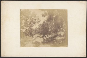 [Ulivi, Via de Palombara]. od Unknown artist