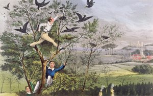Who-Whoop! Dokázal jsem to - Nájezd na Havraní hnízdo z Nimrodova "Života sportovce". od Unknown artist
