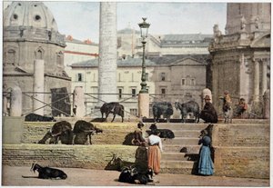 Starověký Řím: pohled na Římské fórum. Itálie, konec 19. století. od Unknown photographer