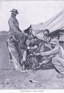 Doctoring a sick horse, from After Pretoria: The Guerilla War vydané Harmsworth Bros Limited od Unknown photographer