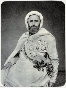 Portrét Abd-el-Kadera (Abd El-Kader) v roce 1875 - fotografie. od Unknown photographer