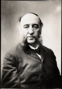 Portrét Julese Ferryho (1832-1893), francouzského státníka. od Unknown photographer