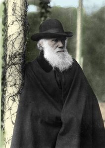 Fotografický portrét Charlese Darwina (1809 - 1882), anglického přírodovědce v roce 1881. od Unknown photographer