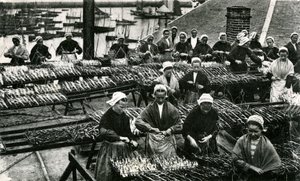Průmysl na výrobu sardinek, Finistère, Brittany (čb fotografie) od Unknown photographer
