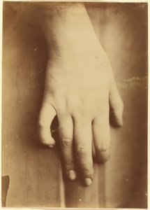 Studie ruky, 1865 (foto) od Unknown photographer
