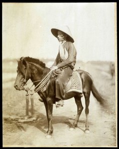 Vietnamský jezdec, konec 19. století. od Unknown photographer