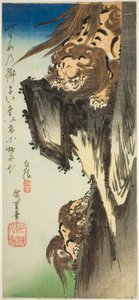 Lev trénuje mládě od Utagawa Hiroshige
