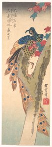  od Utagawa Hiroshige