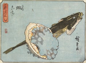 Abalone a Flathead, 1830-1844