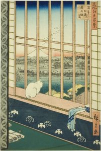 Festival festivalu Asakusa Lycee Fie lds plan d city (uvedeno je také město rýžových polí Asakusa), ze seriálu „Hřeben pro hřebeny pohled ws f Edo (slavné místo 100 pohledů na Edo)“ od Utagawa Hiroshige