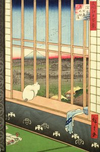 Asakusa Rice Fields během festivalu kohouta ze série 