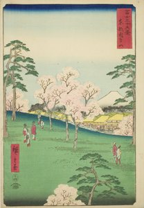 Asuka Hill ve východním hlavním městě (Toto Asukayama), ze série „Třicet šest pohledů na horu Fuji (Fuji sanjurokkei)“ od Utagawa Hiroshige