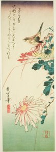 Pták a chryzantémy od Utagawa Hiroshige