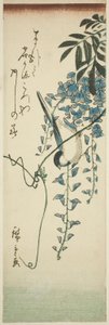 Pták a vistárie od Utagawa Hiroshige