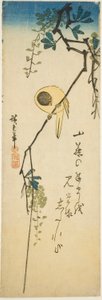 Pták na hedvábné vistárii od Utagawa Hiroshige