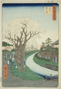 Bosso MS sound te tamari ver verze obrázku k povrch t (Tamagawa Tsutsumi no Hana), ze série "Ridge d re d fa net view ws f Edo (Sto slavných pohledů na Edo)" od Utagawa Hiroshige
