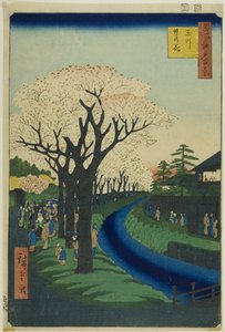 Květy na nábřeží řeky Tama (Tamagawa-zutsumi no hana), ze série "Sto slavných pohledů na Edo (Meisho Edo hyakkei)". od Utagawa Hiroshige