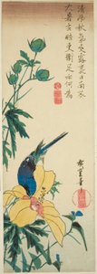 Modrý pták a ibišek od Utagawa Hiroshige