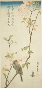 Hýl na větvi arónie od Utagawa Hiroshige