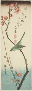 Pěnice na švestkové větvi od Utagawa Hiroshige