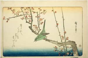 Pěnice na švestkové větvi od Utagawa Hiroshige