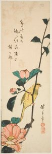Kanárské a kamélie od Utagawa Hiroshige