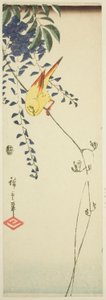 Kanárské a vistárie od Utagawa Hiroshige