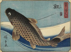 Kapr, 1830-1844