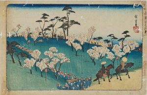„Prohlídka třešňových květů na kopci Asuka“ ze série „Slavná místa Eda“ od Utagawa Hiroshige