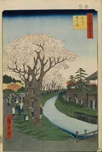 Třešňové květy na břehu řeky Tama Sto slavných pohledů na Edo, 1856-1858 od Utagawa Hiroshige