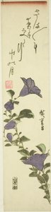 Čínský zvon květiny od Utagawa Hiroshige