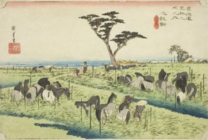 Chiryu: Raný letní koňský trh (Chiryu, shuka uma ichi), ze série "Padesát tři stanic Tokaida (Tokaido gojusan tsugi no uchi)", také známý jako Hoeido Tokaido od Utagawa Hiroshige