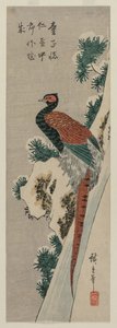 Měděný bažant u zasněženého vodopádu od Utagawa Hiroshige