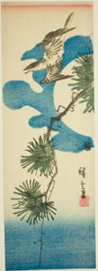 Kukačka, Pine Brach a úplněk od Utagawa Hiroshige