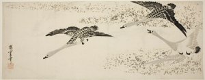Sestupné husy od Utagawa Hiroshige