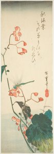 Vážka a begonie od Utagawa Hiroshige