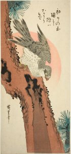 Sokol na borovici s vycházejícím sluncem od Utagawa Hiroshige