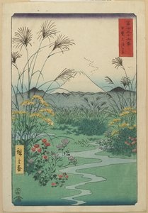 Pole v O_tsuki v provincii Kai, duben 1858