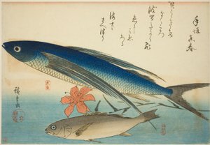 Létající ryba a Ichimochi, z nepojmenované série ryb od Utagawa Hiroshige