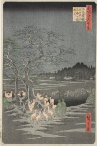 Liščí ohně na Silvestra u stromu proměny v Ódži (Ódži šózoku enoki omisoka no kitsunebi), ze série "Sto slavných pohledů na Edo (Meišó Edo hjakkei)". od Utagawa Hiroshige
