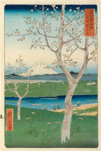 Fuji z Koshigaya, Mushashi, č. 14 ze série 